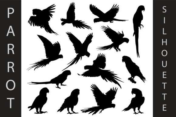 Animal Parrot Silhouettes: Vibrant Design Assets