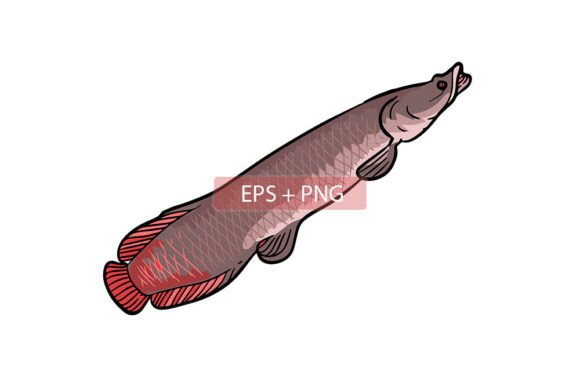 Arapaima Fish Animal Illustration: A Versatile Design Asset