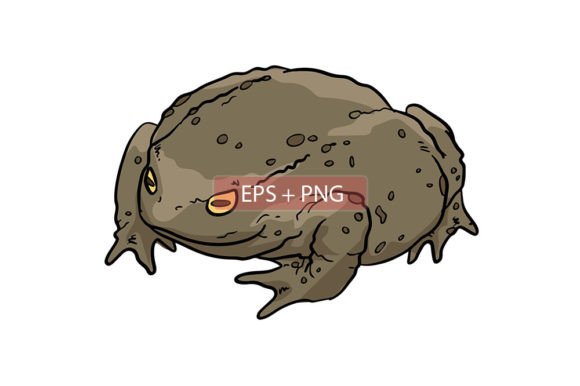 Bringing Personality to Projects with Toad Frog Animal Illustration