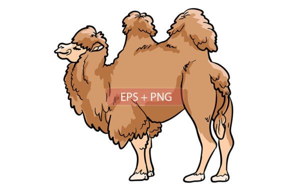 Camel Mammals Animal Illustration: Your Versatile Design Asset