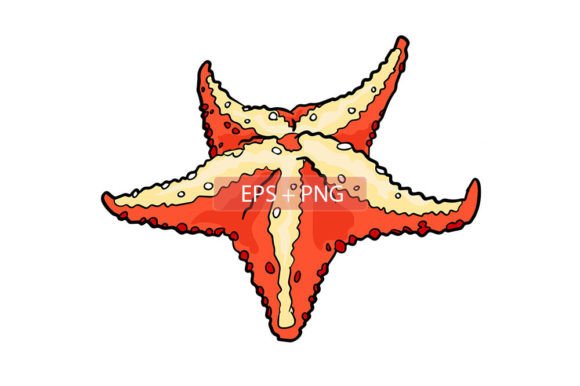 Capturing Coastal Charm: The Starfish Sea Water Animal Illustration
