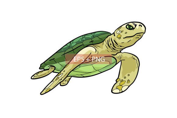 Capturing Oceanic Charm: The Turtle Sea Animal Illustration