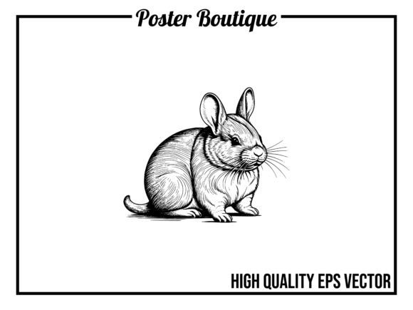 Charming Chinchilla: A Wild Animal Vector for Your Projects