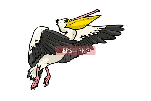 Charming Pelican Bird Animal Illustration for Creative Projects
