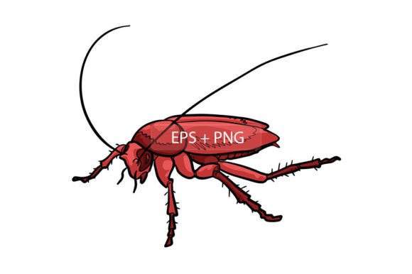 Cockroach Insect Animal Illustration: A Surprisingly Versatile Design Asset