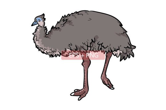 Emu Bird Animal Illustration: A Designer’s Go-To Asset
