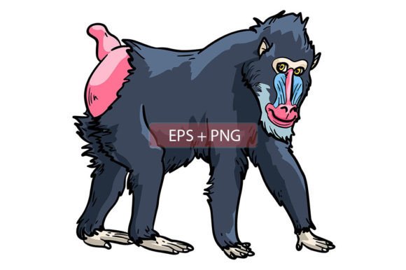Mandrill Monkey Ape Animal Illustration: A Bold Design Asset