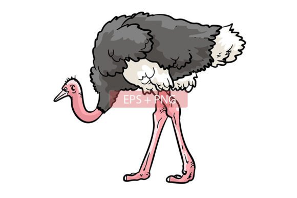 Ostrich Bird Animal Illustration: A Playful Design Asset