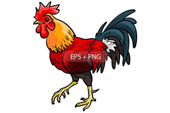 Rooster Chicken Animal Illustration: A Designer's Guide