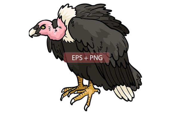 Vulture Bird Animal Illustration: A Creative Asset for Modern Design