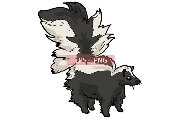 Why Skunk Mammals Animal Illustration is a Design Asset You Need